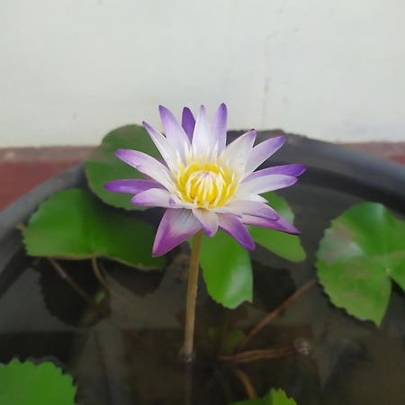 Leisure In Galle Ngoại thất bức ảnh