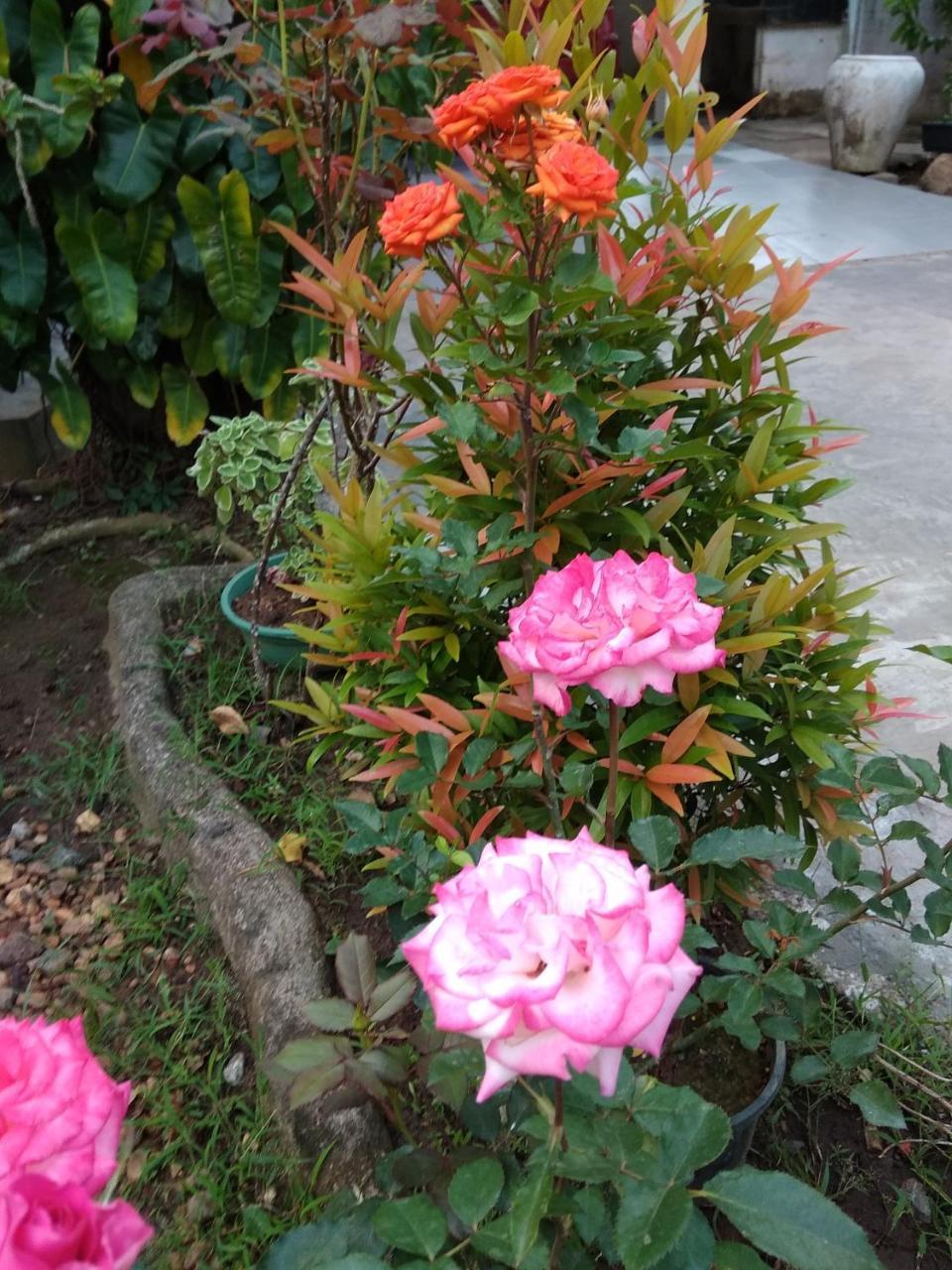 Leisure In Galle Ngoại thất bức ảnh